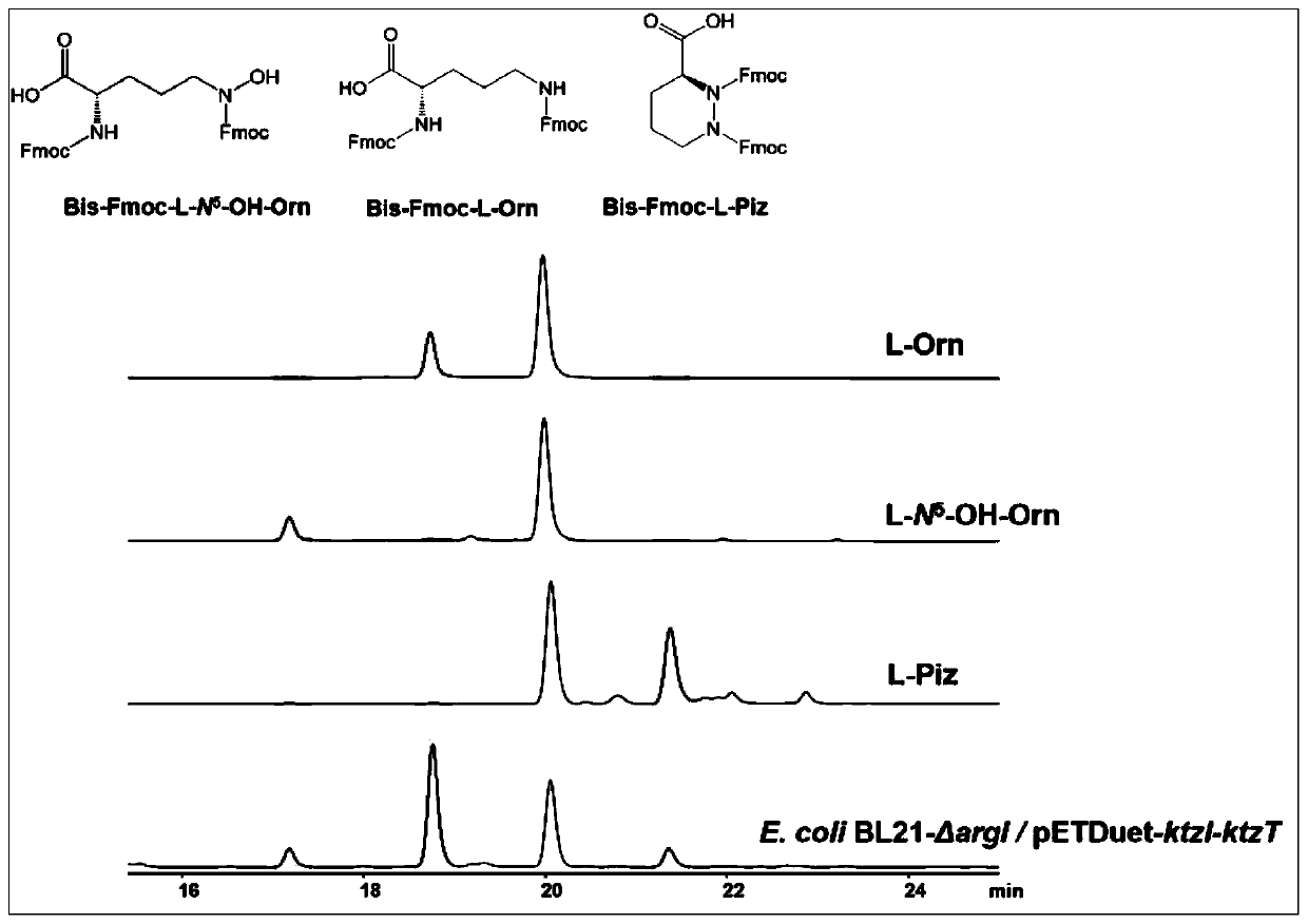 Method for bioconversion synthesis of hexahydropyridazine-3-carboxylic acid