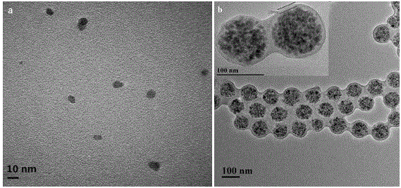 Method for preparing magnetic induction assembled colloidal photonic crystal with mini-emulsion polymerization method