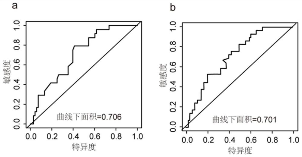 Non-small cell lung cancer patient curative effect and prognosis prediction system