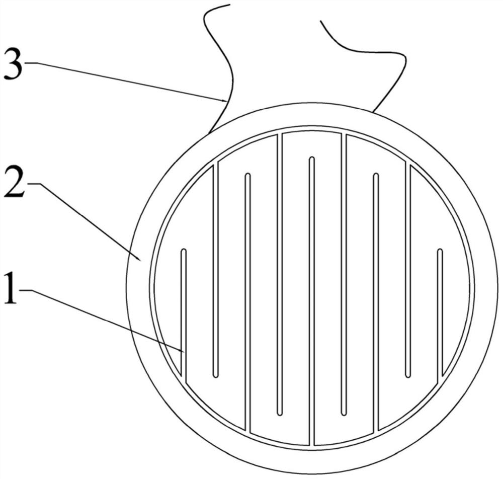 Diaphragm of flat panel speaker and earphone speaker with same