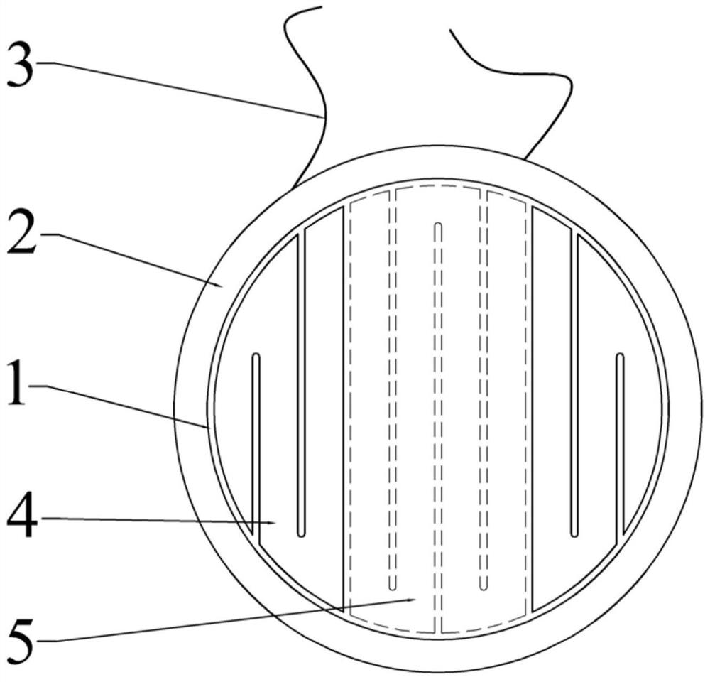 Diaphragm of flat panel speaker and earphone speaker with same