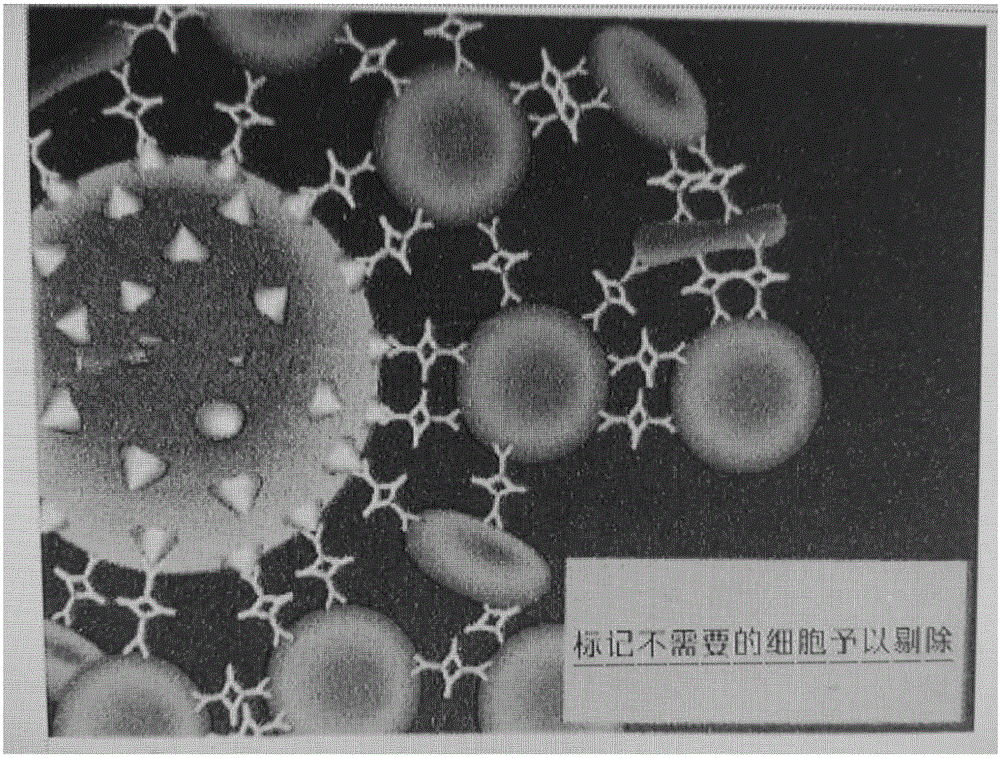 Human marrow, umbilical cord blood and peripheral blood stem cell isolation kit and isolation method thereof