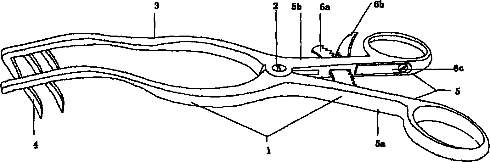 Forceps-type mastoid retractor for infants