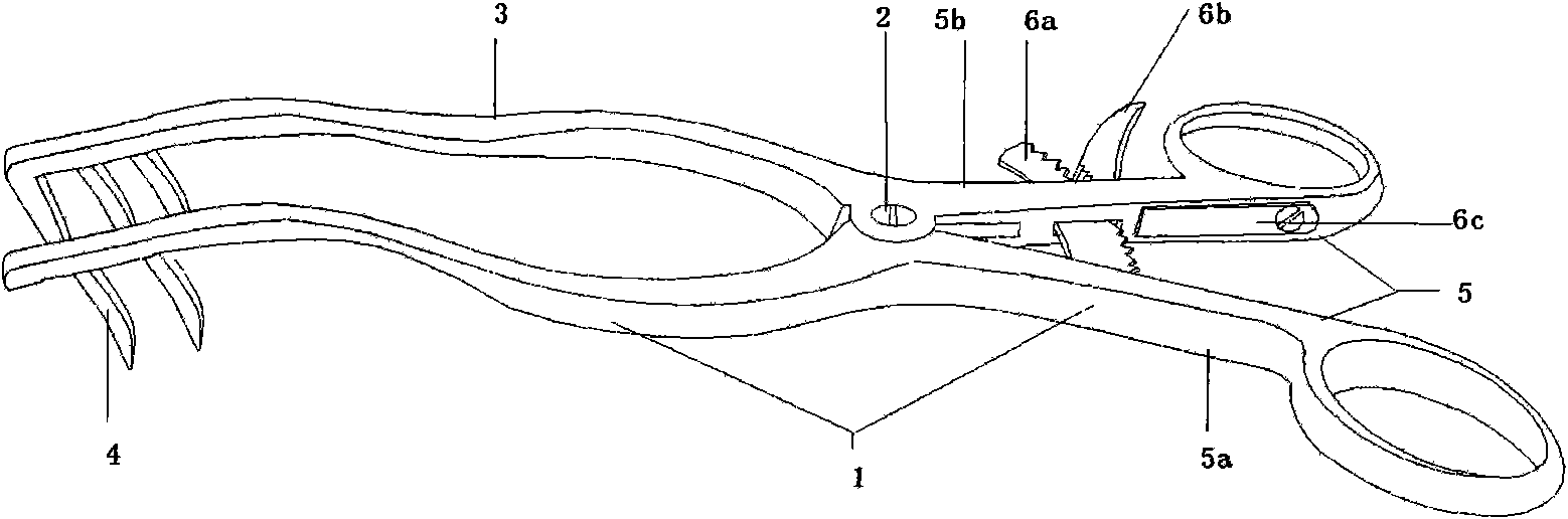 Forceps-type mastoid retractor for infants