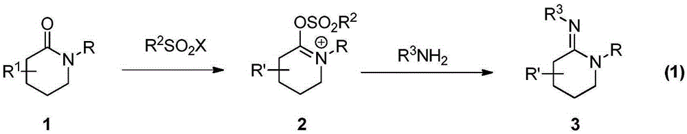 A kind of preparation method of multi-substituted cyclic amidine