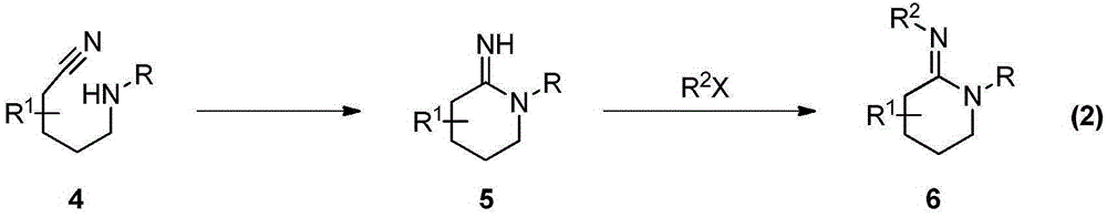 A kind of preparation method of multi-substituted cyclic amidine