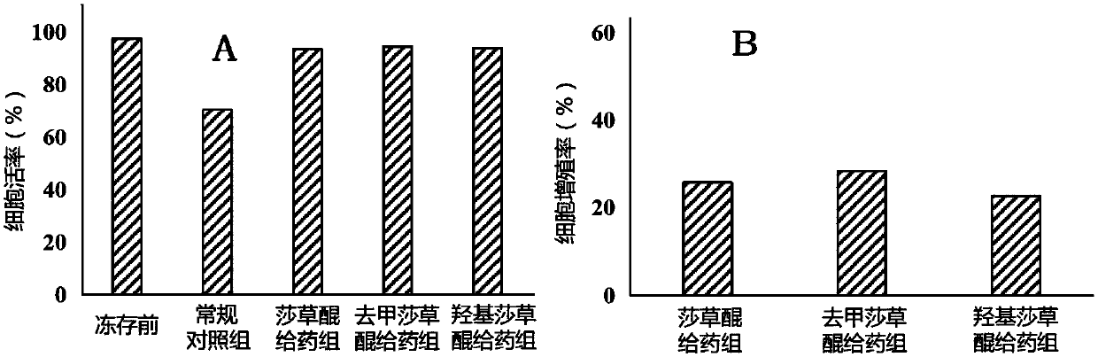Application of sedge quinone and analogues thereof in culturing NK cells