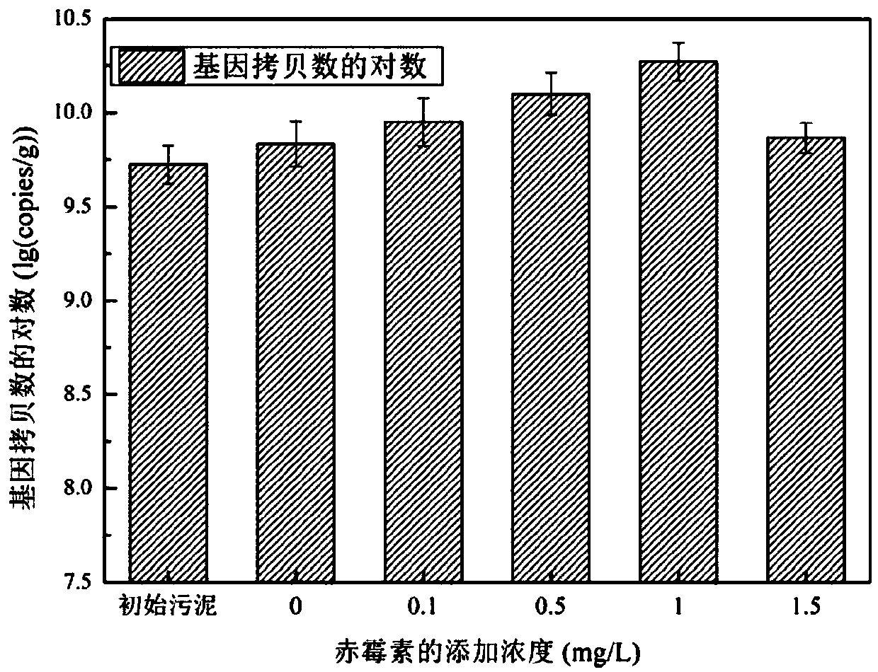 Method for promoting proliferation of anaerobic ammonia oxidizing bacteria and application of method