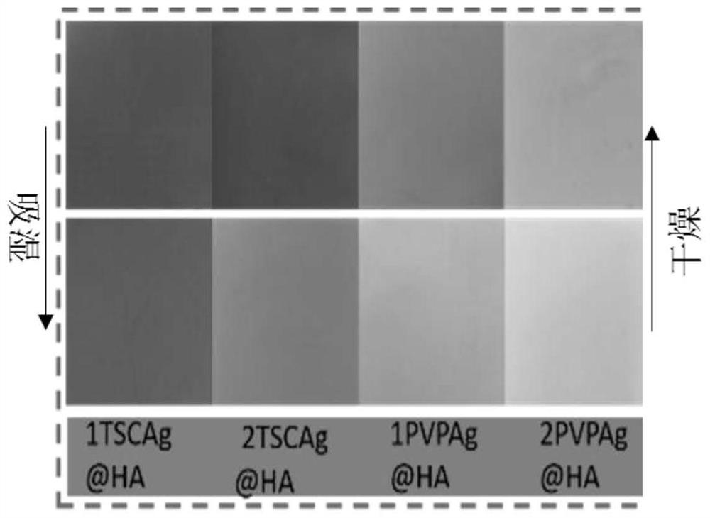 Color-changing material based on metal nanoparticles and application of color-changing material