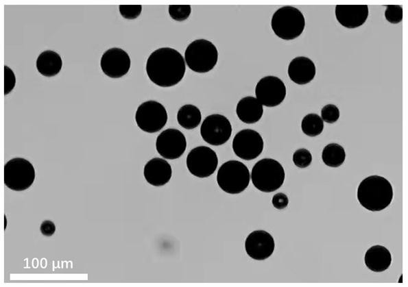 A kind of injectable polyhydroxyalkanoate microsphere and preparation method thereof