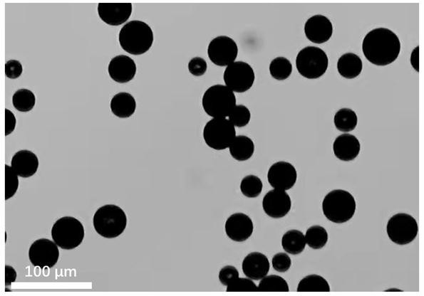 A kind of injectable polyhydroxyalkanoate microsphere and preparation method thereof