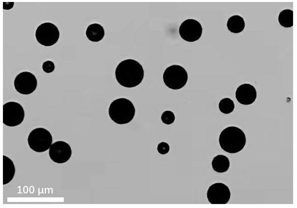 A kind of injectable polyhydroxyalkanoate microsphere and preparation method thereof