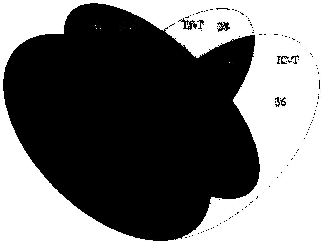 A Chinese herbal medicine feed additive for treating fish enteritis