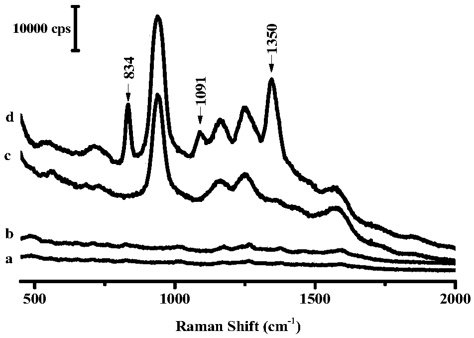 Method for rapidly detecting TNT in water based on surface-enhanced Raman spectroscopy