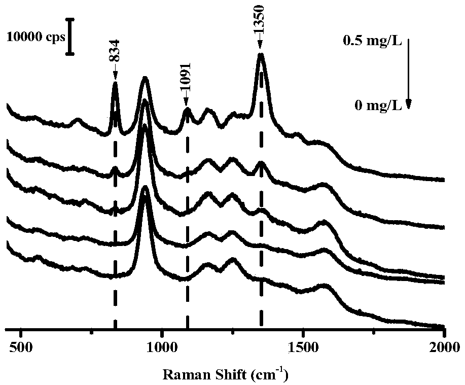 Method for rapidly detecting TNT in water based on surface-enhanced Raman spectroscopy