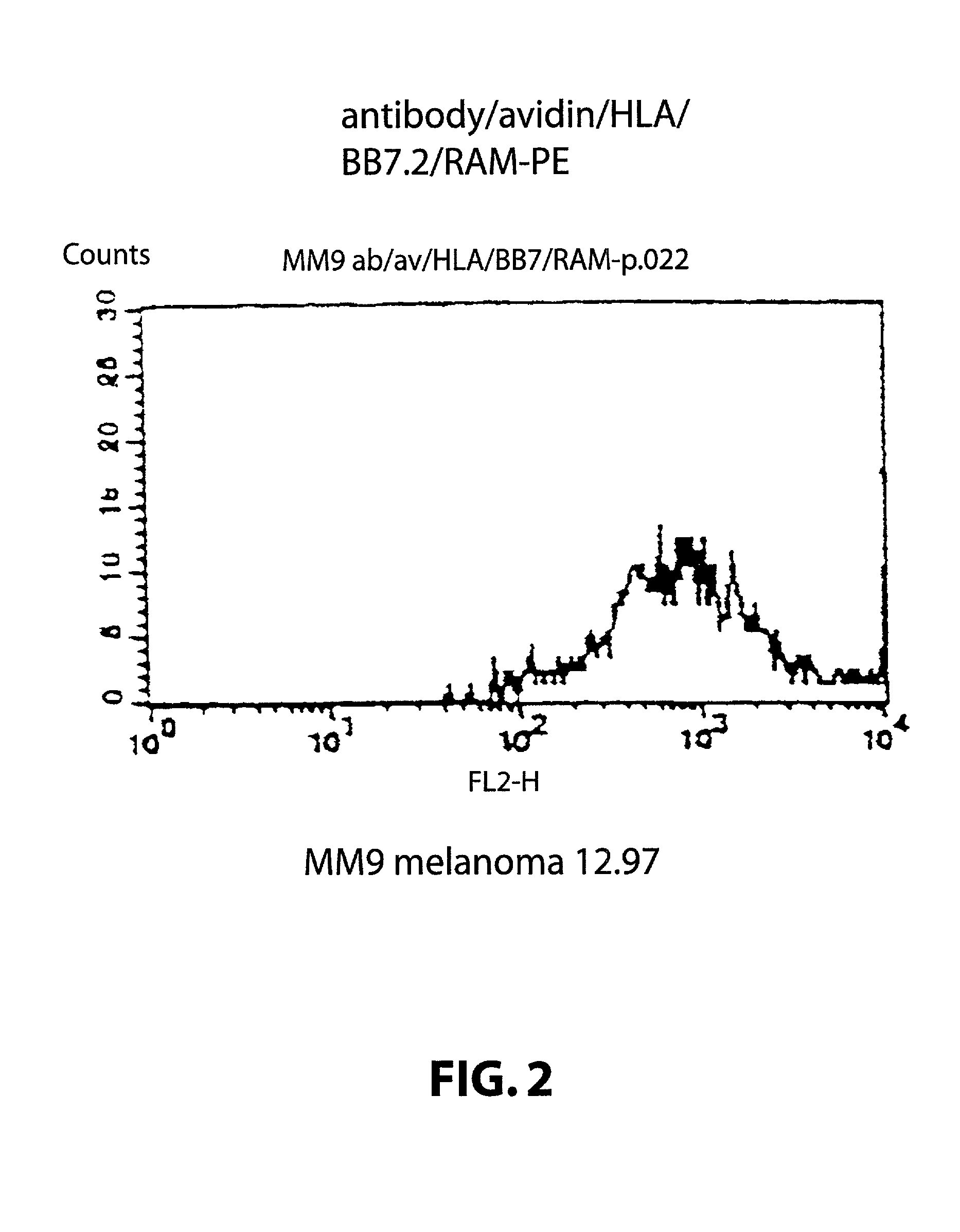 Method for producing or enhancing a T-cell response against a target cell using a complex comprising an HLA class I molecule and an attaching means