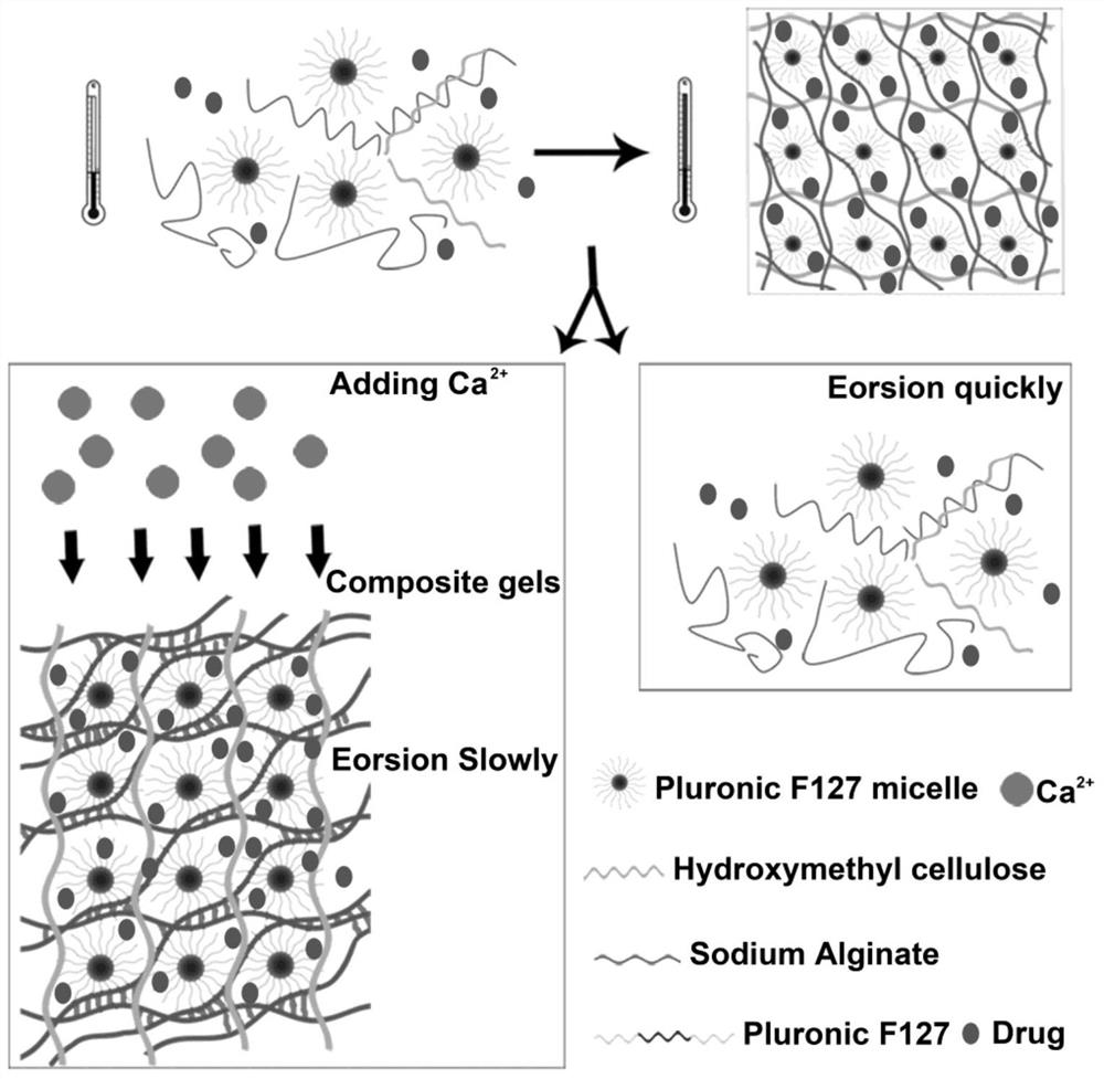 A kind of composite developing thermosensitive gel embolic agent, preparation method and application thereof