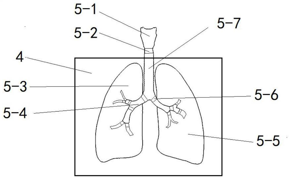 Lung experiment model system for simulating bioaerosol deposition