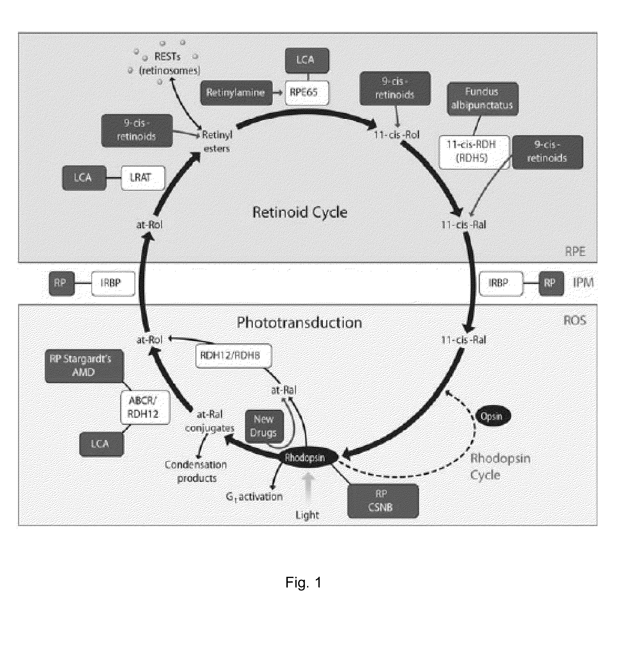 Compounds and methods of treating ocular disorders