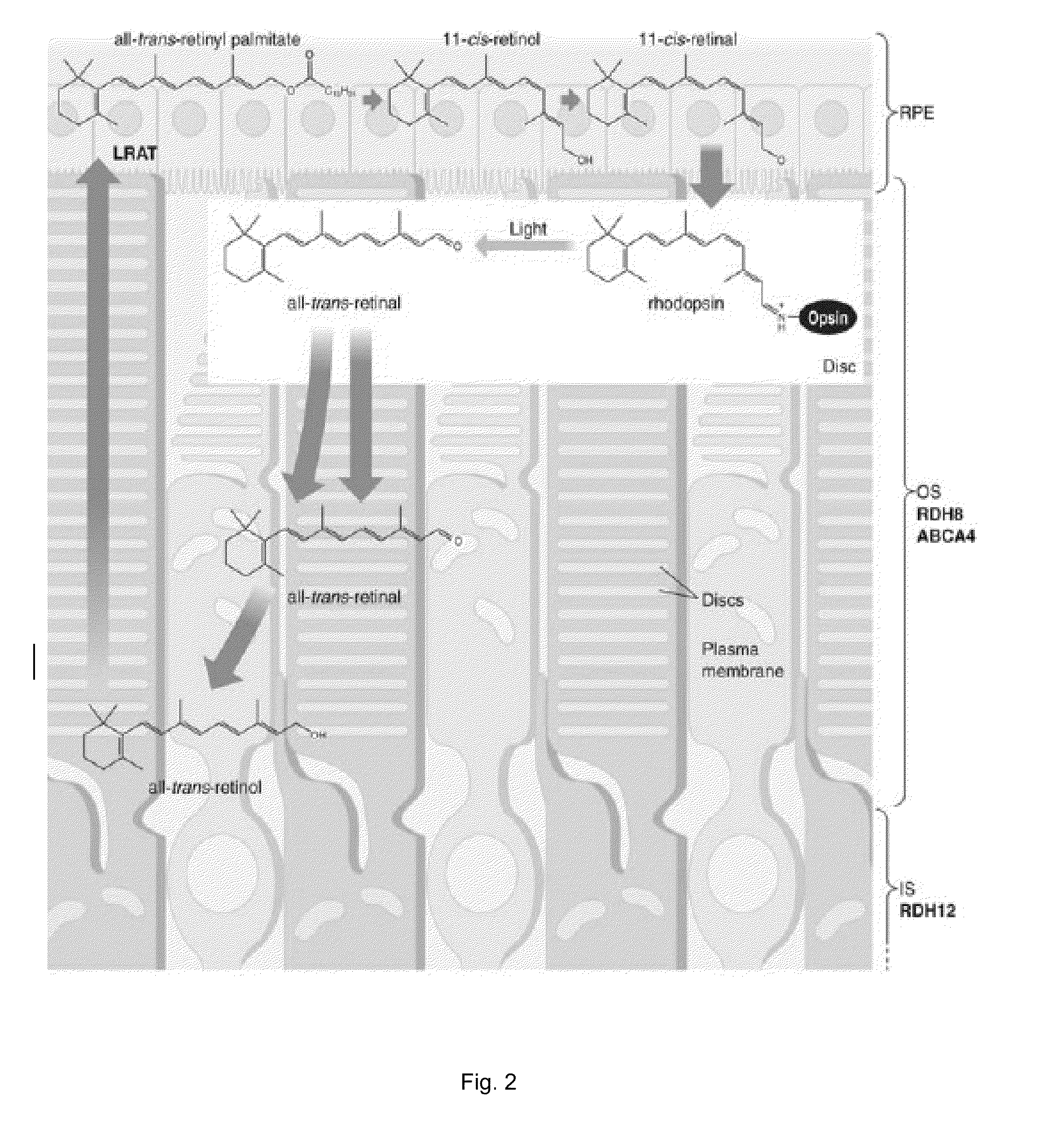 Compounds and methods of treating ocular disorders