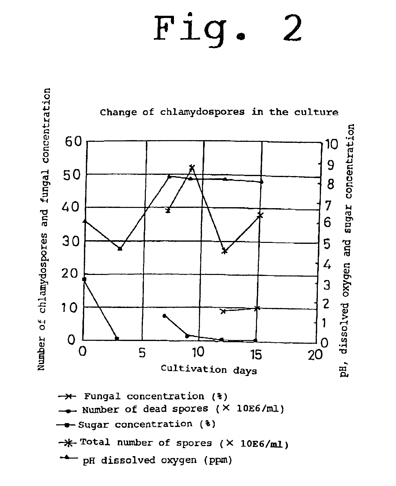 Process for producing Trichoderma harzianum ferm BP-4346