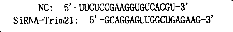 Antivirus associated protein and application thereof