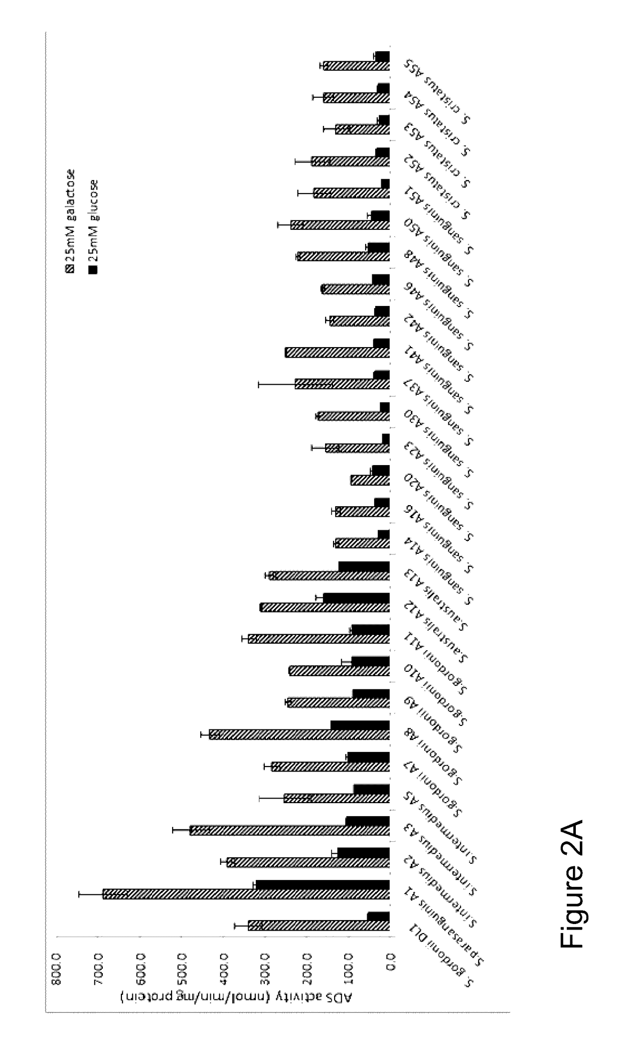 Probiotic arginolytic oral compositions and methods of making and using probiotic arginolytic oral compositions