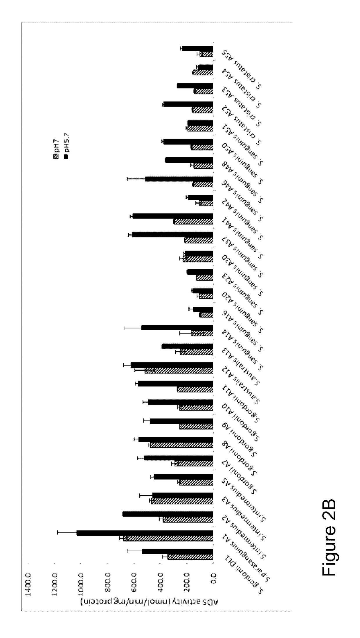 Probiotic arginolytic oral compositions and methods of making and using probiotic arginolytic oral compositions