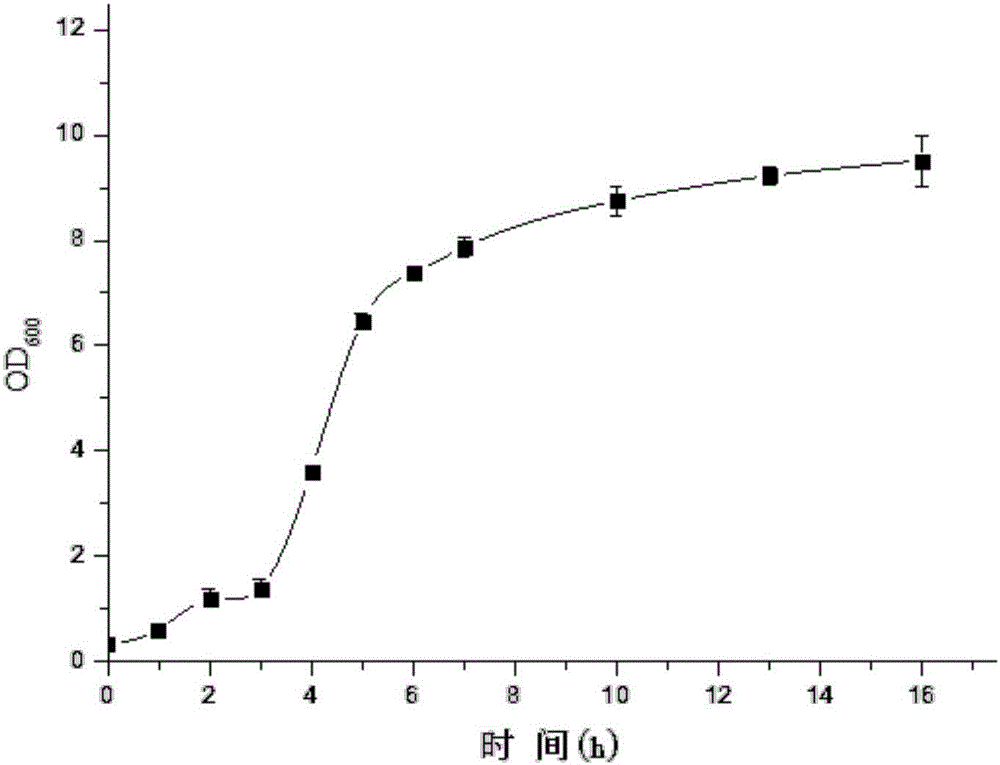 Saccharomyces Cerevisiae strain with high yield of beta-phenylethanol and application thereof