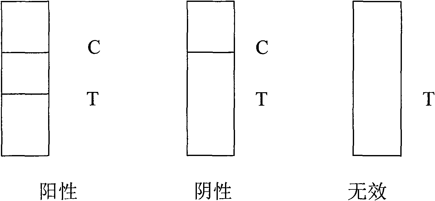 Colloidal gold detection test paper for abrin, preparation method thereof and application thereof