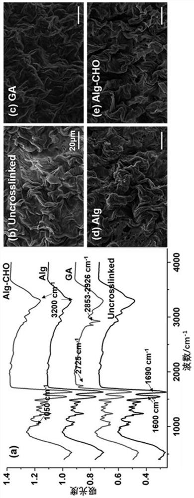 Natural polymer cross-linking agent and its application in the preparation of anti-calcification biological valve