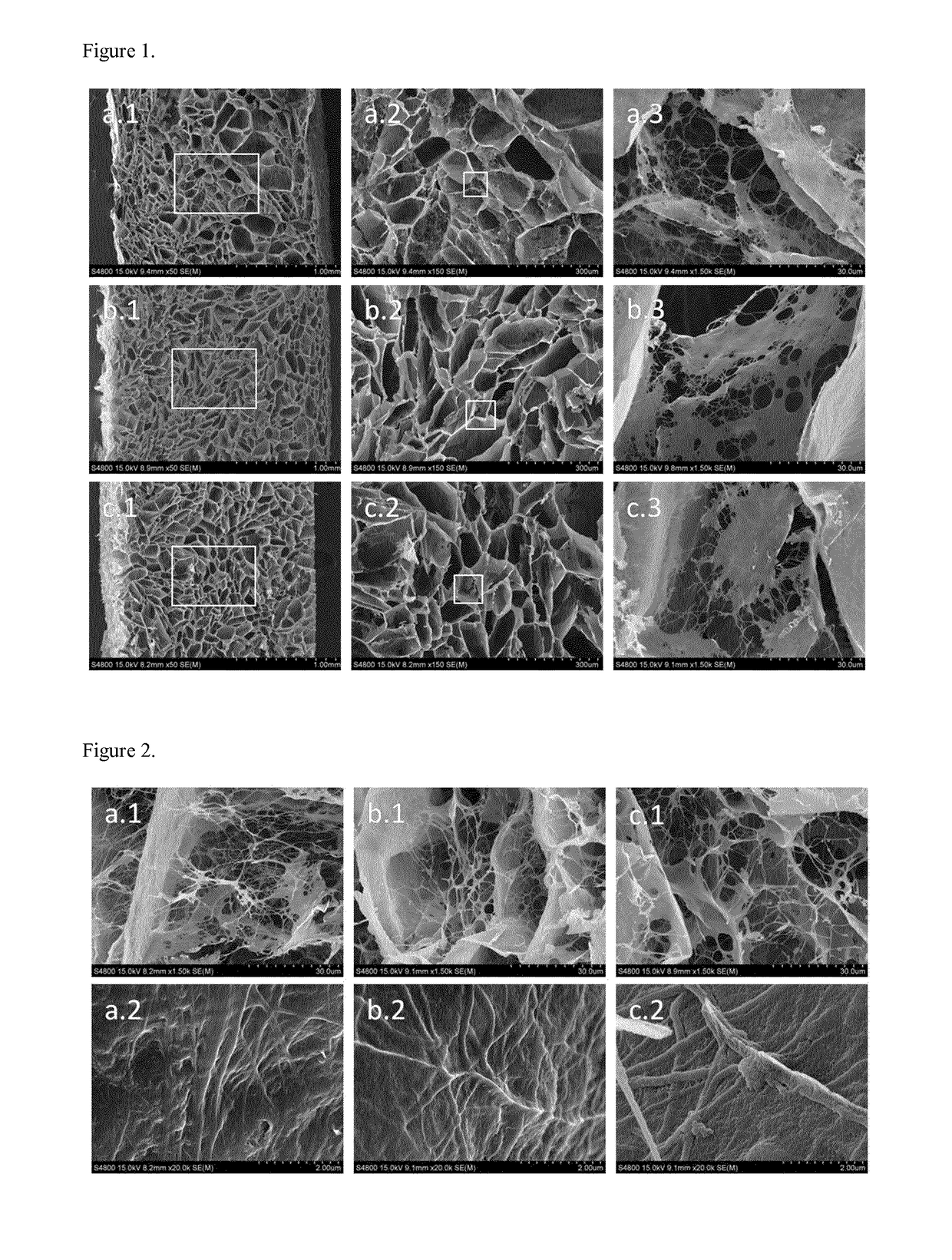 A biomaterial scaffold for regenerating the oral mucosa