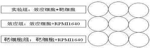 A method for inducing and expanding NK cells in combination with traditional Chinese medicines in vitro and its application