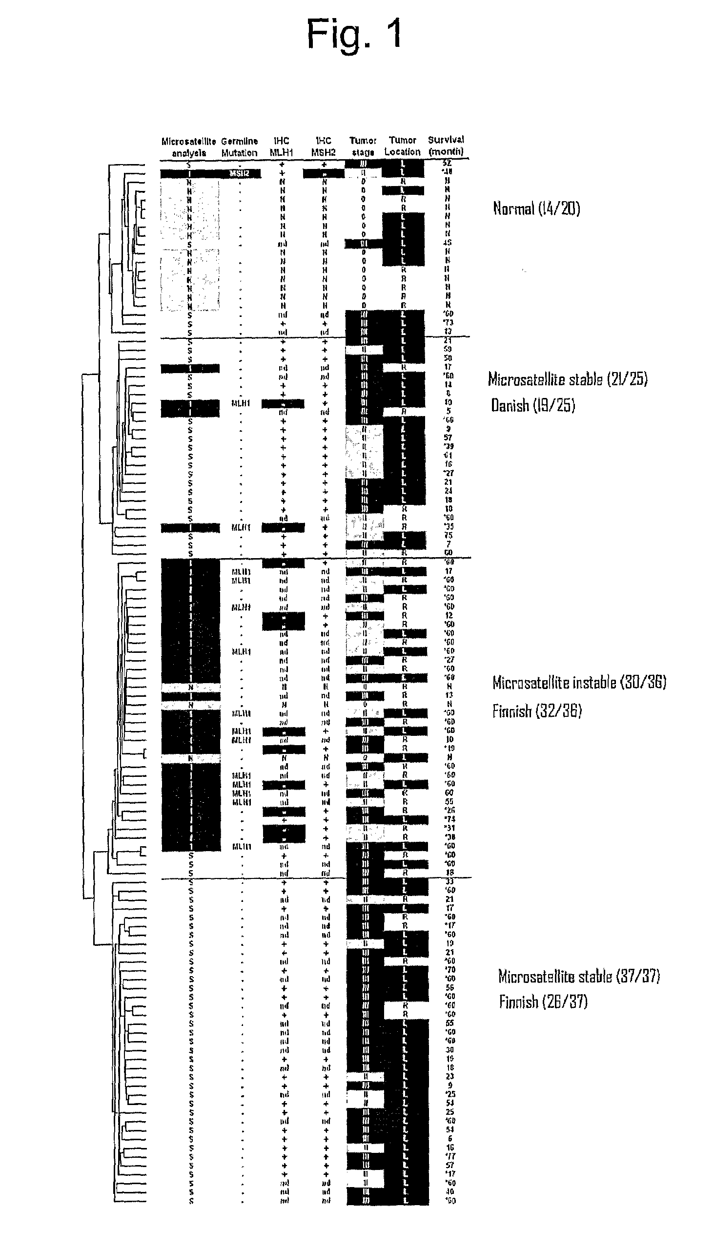 Classification of cancer