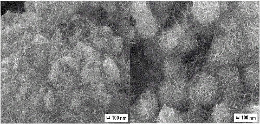 Nitrogen-doped carbon nanotube/molybdenum disulfide nanosphere composite material and preparation method thereof