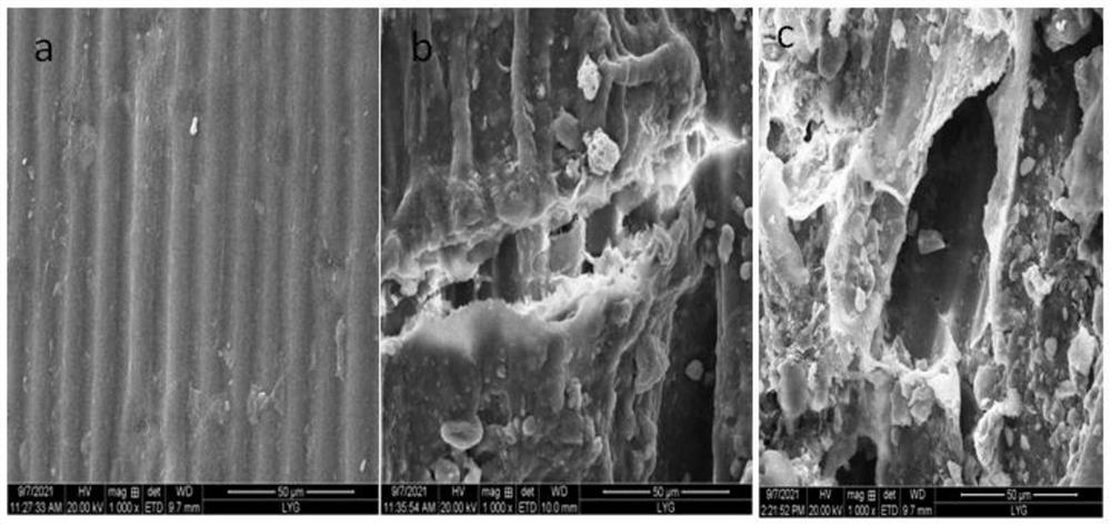 Complex microbial inoculant for degrading corn straws at low temperature