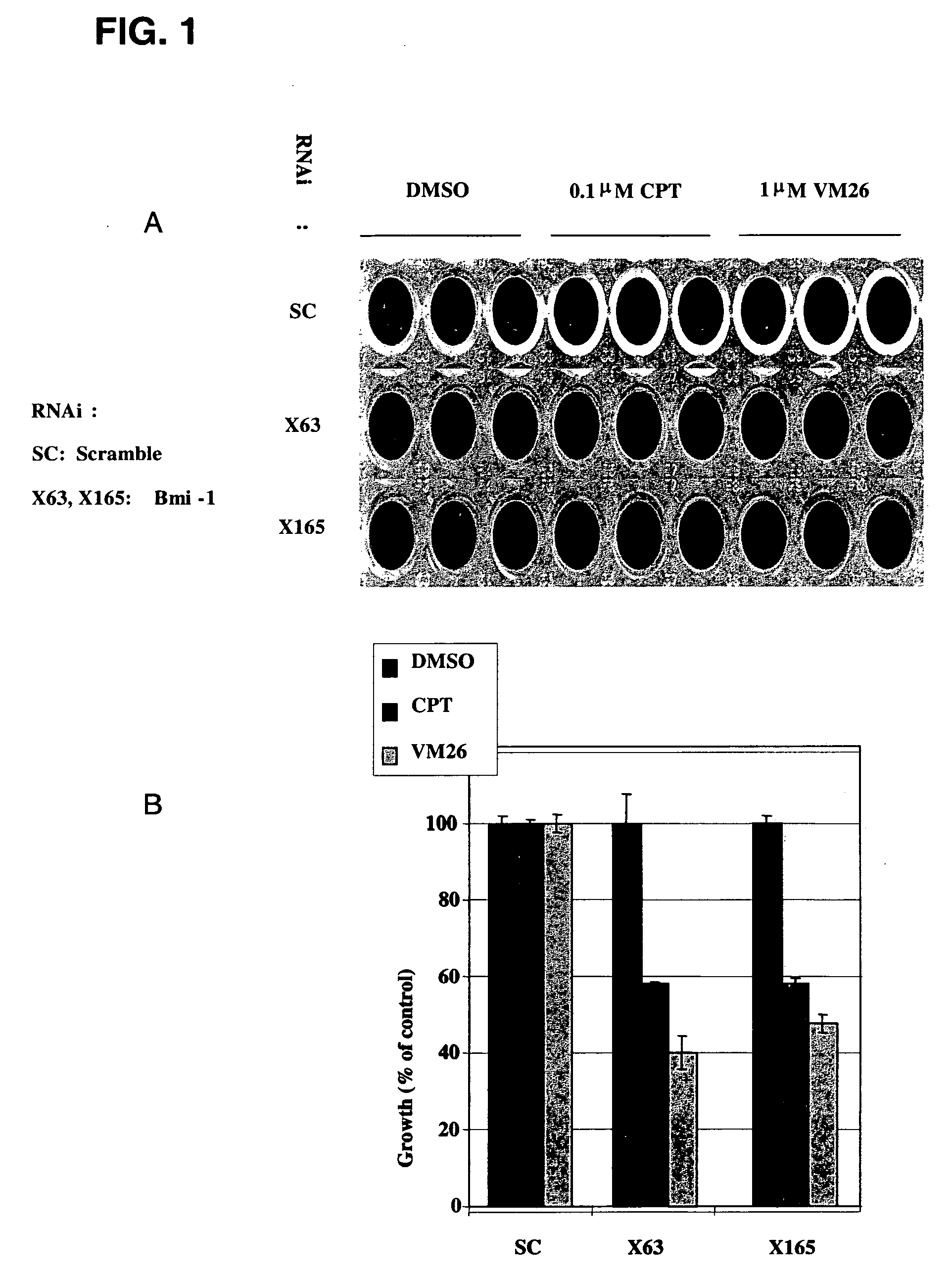 Methods for enhancing the therapeutic efficacy of topoisomerase inhibitors