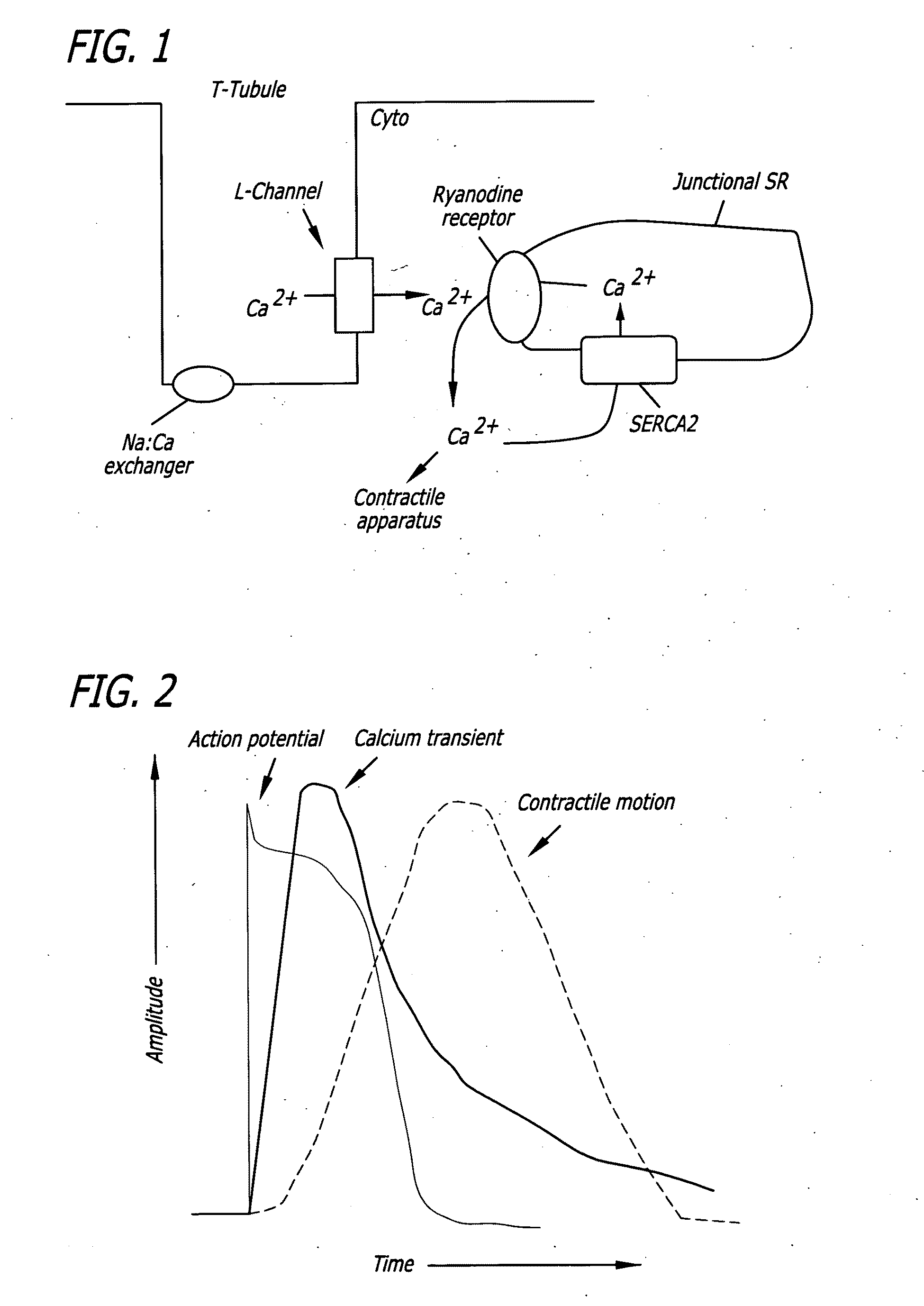 Automated transient image cytometry