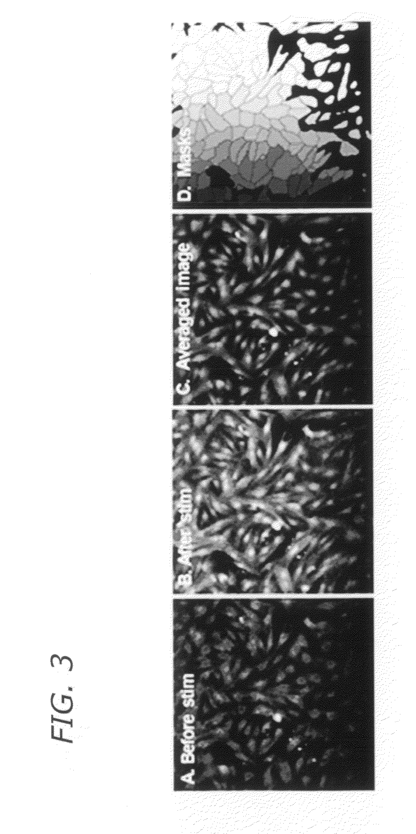 Automated transient image cytometry