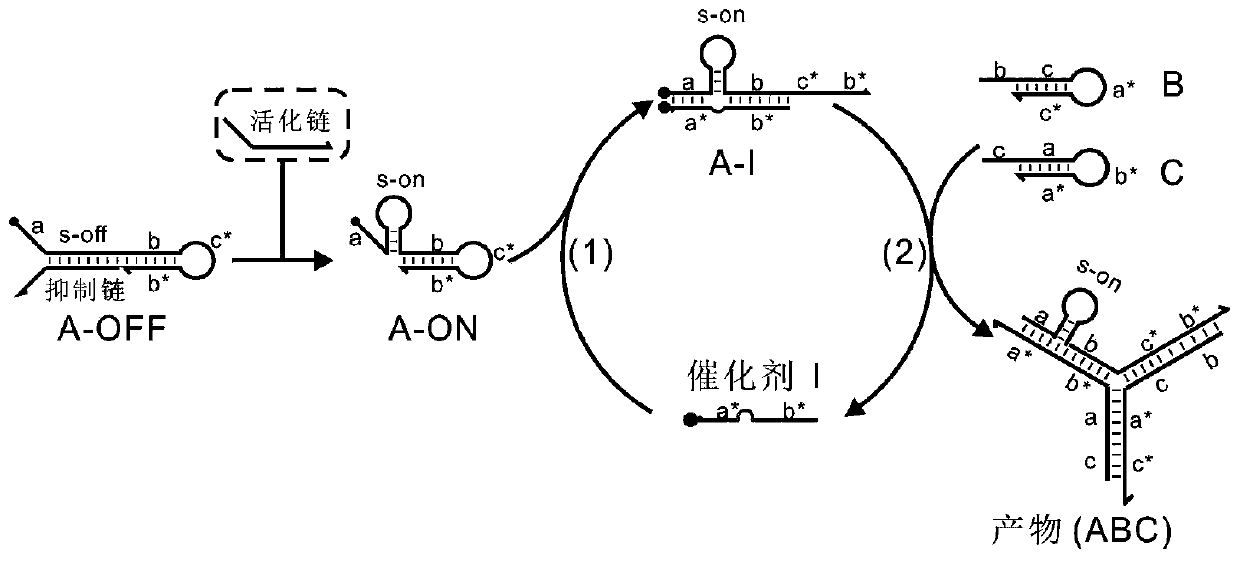 Method for regulating and controlling self-assembly of nucleic acid nanostructure based on DNA stem-loop conformation transformation