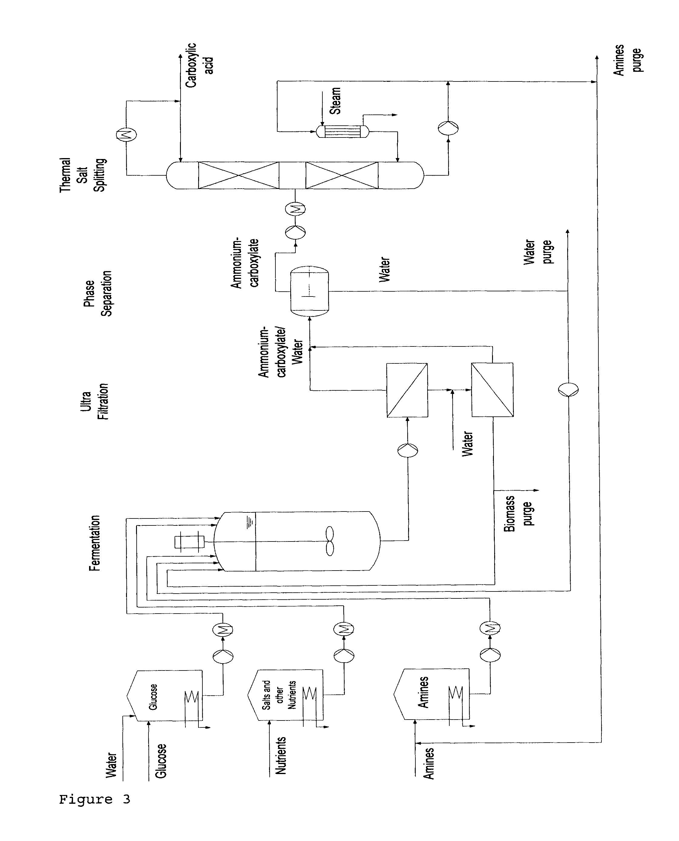 Method for the production of free carboxylic acids