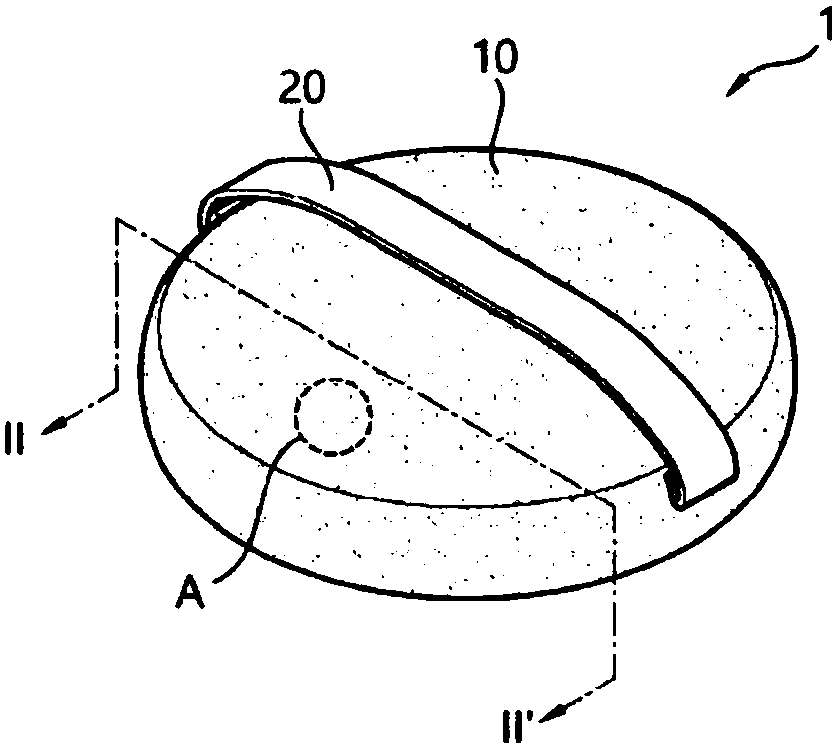 Cosmetic tool with controlled water-absorbing performance and transferring performance