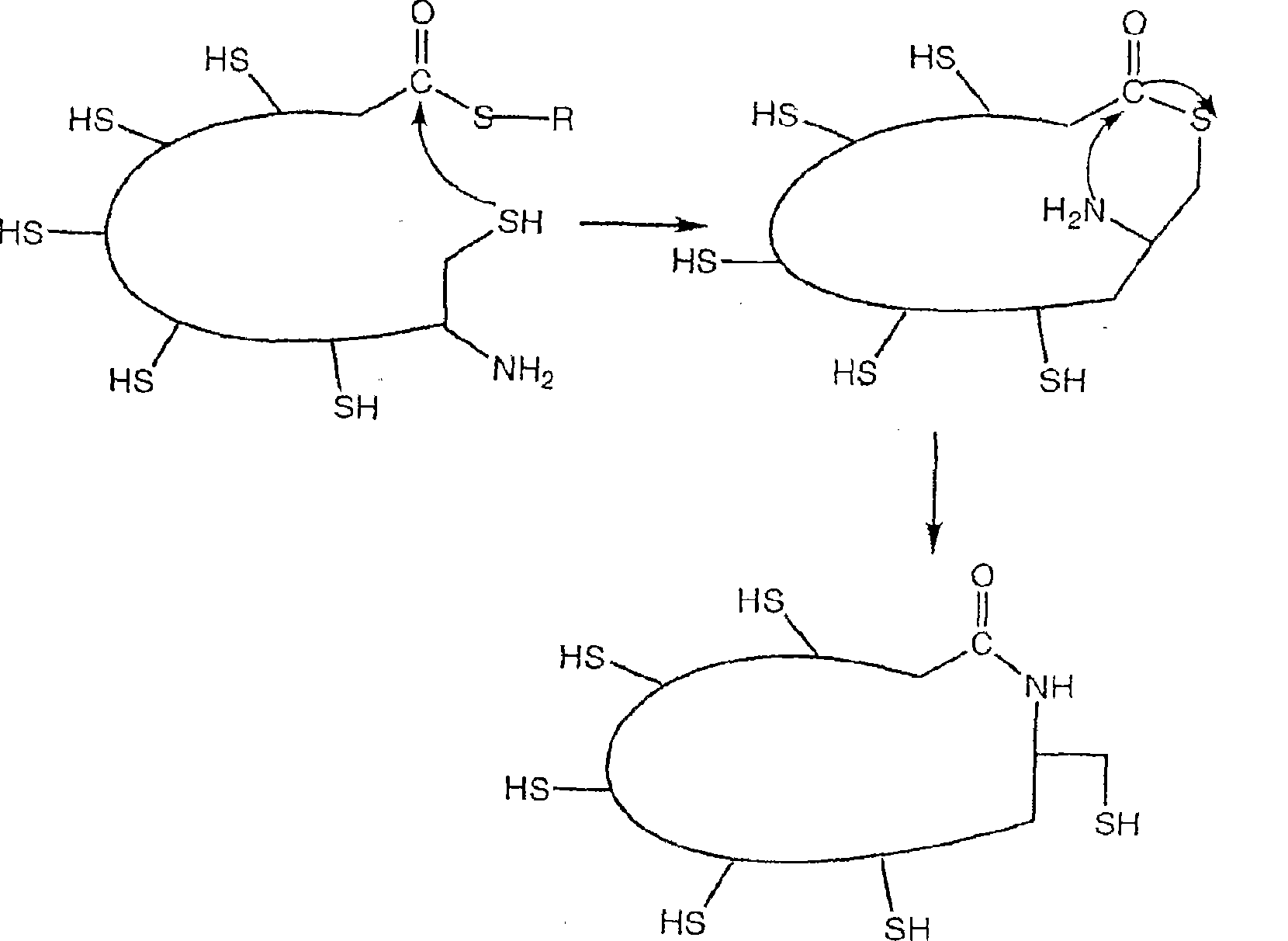 Cyclised alpha-conotoxin peptides