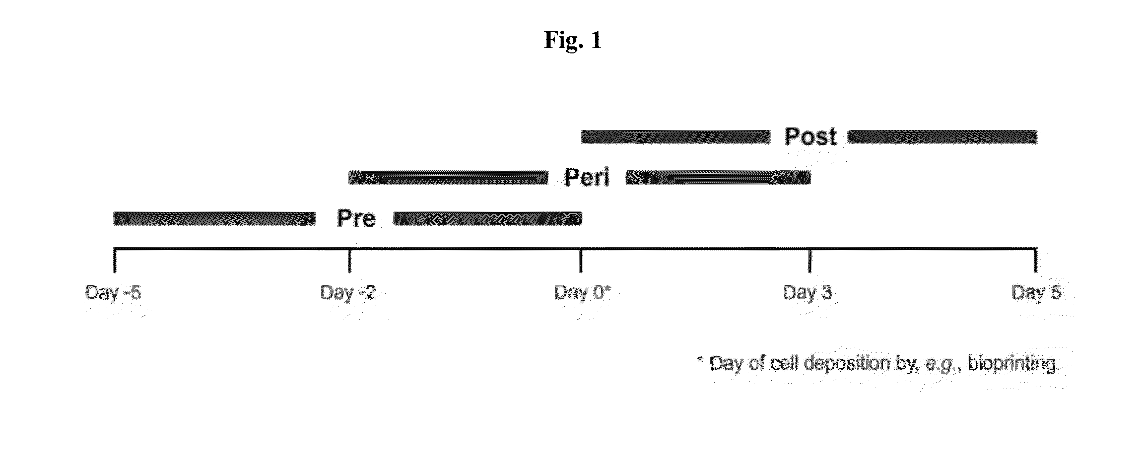 Engineered three-dimensional connective tissue constructs and methods of making the same