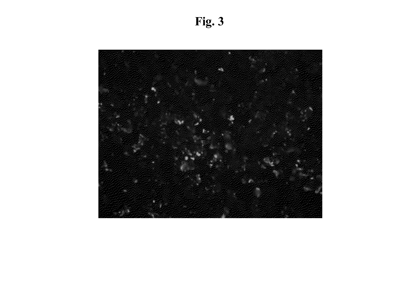 Engineered three-dimensional connective tissue constructs and methods of making the same