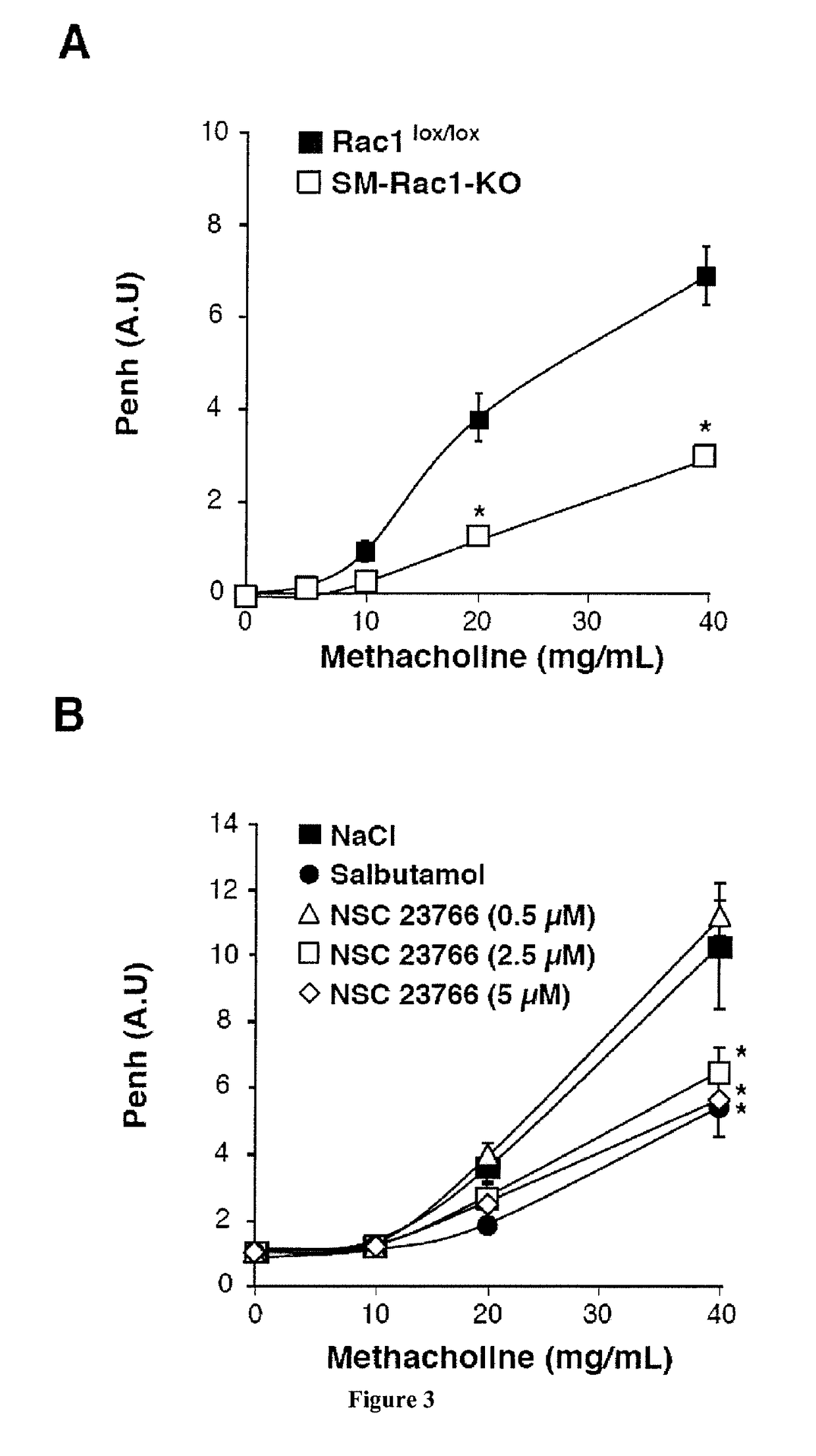 RAC1 inhibitors for inducing bronchodilation