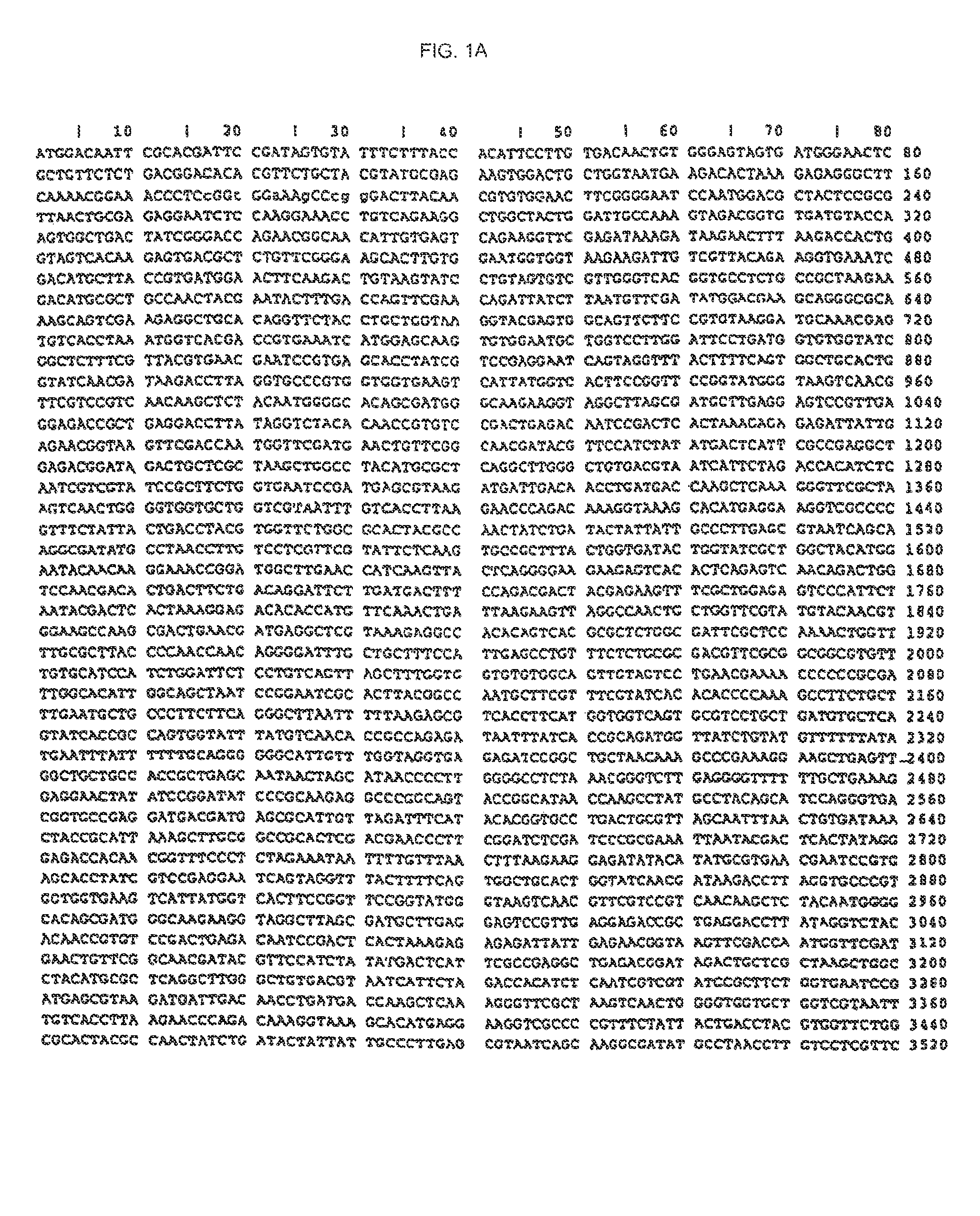 Isothermal amplification of DNA