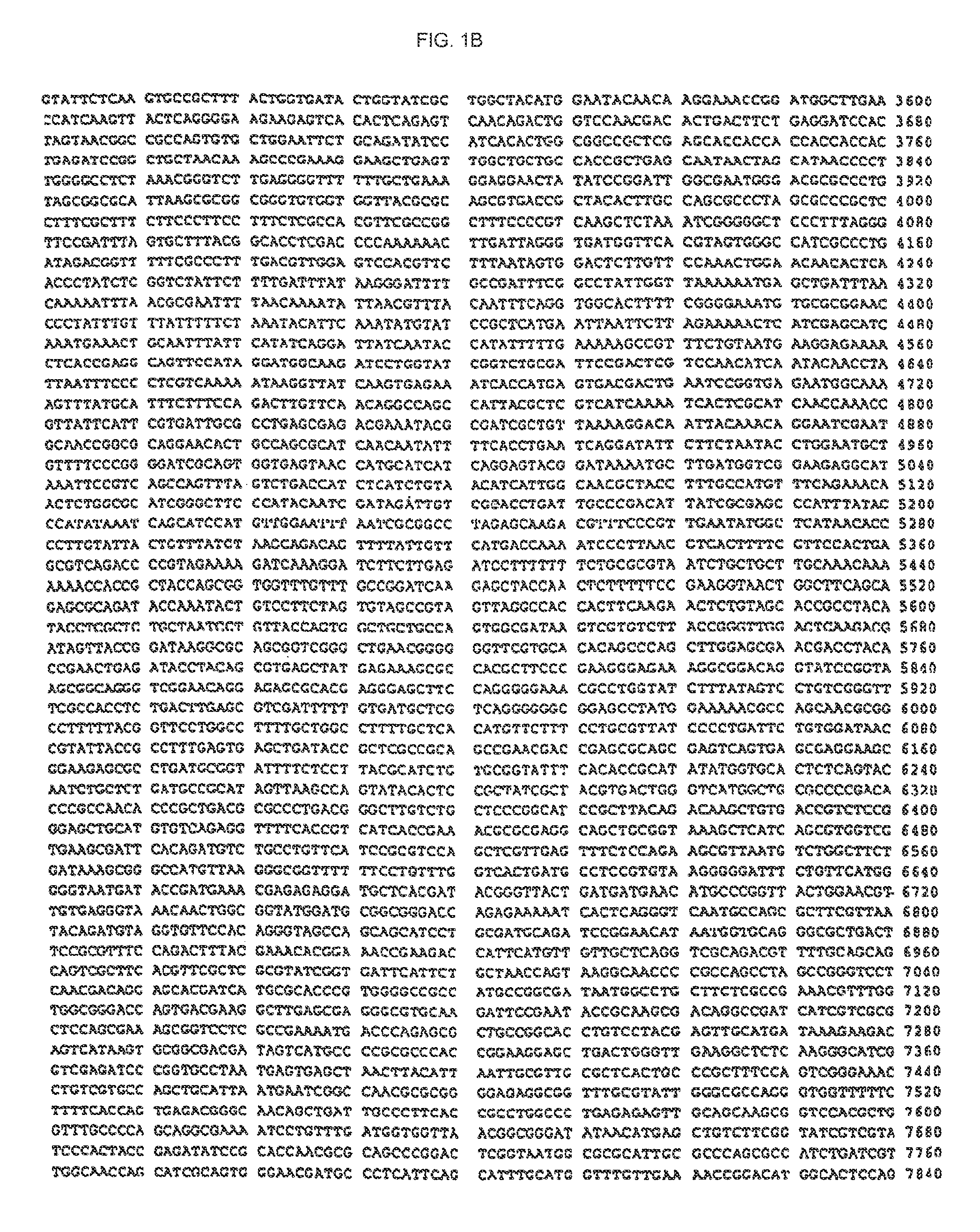 Isothermal amplification of DNA