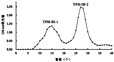 Tuna fish bone gelatin antifreeze peptide and preparation method thereof