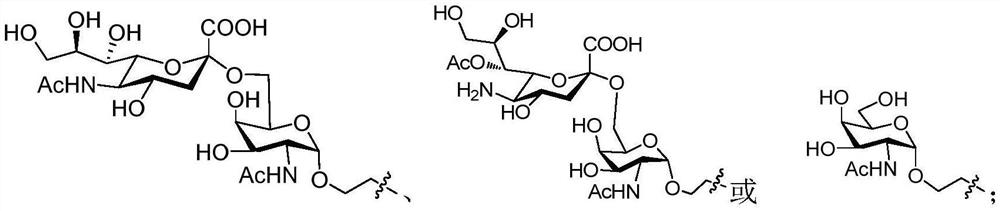 A conjugate of trehalose derivatives and carbohydrate antigens and its preparation method and application